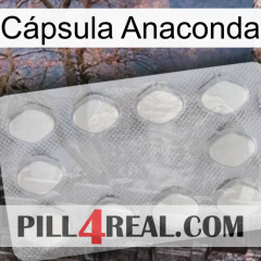 Cápsula Anaconda 16